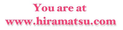 You are at hiramatsu.com